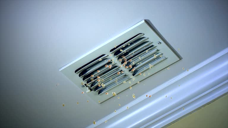 Best Air Vent Cleaning Services  in Enterprise, WV